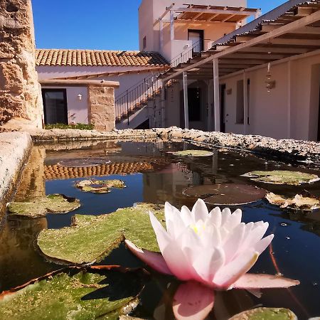 Casa Vacanze Senia Del Rais 法维尼亚纳 外观 照片