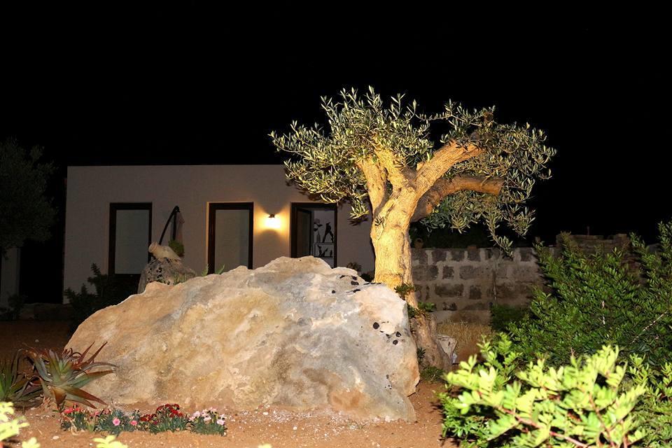 Casa Vacanze Senia Del Rais 法维尼亚纳 外观 照片